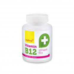Vitamín B12-kapsle 120 ks/61 g Wolfberry